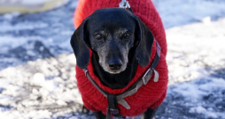 Ilustratīvs attēls.