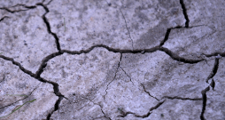 Sausa, saplaisājusi zeme.