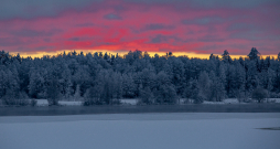 Ziemas ainava. Daugava pie Ogres. Ziemas ainava. Daugava pie Ogres.