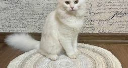 Tamborēts paklājiņš.