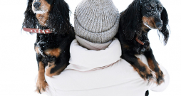  Maza auguma suņi siltumu fizioloģiski zaudē ātrāk un biežāk nosalst.