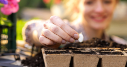 Ilustratīvs attēls.