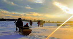 Šoziem var izbaudīt reti iespējamu izklaidi – braucienu zirgu vilktās kamanās. Šoziem var izbaudīt reti iespējamu izklaidi – braucienu zirgu vilktās kamanās.