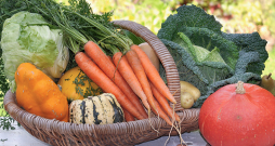 Dārzeņi. Ilustratīvs attēls. Dārzeņi. Ilustratīvs attēls.