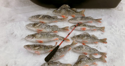 Ja copes stratēģija izvēlēta īstā, labs loms neizpaliek.