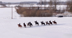Ziemas fotosesija ar zirgiem.