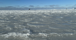 Aizsalusi jūra. Vecāķi.