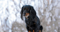 Ilustratīvs attēls.