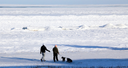 Cilvēki ar suņiem pludmalē ziemā. Ilustratīvs attēls.
