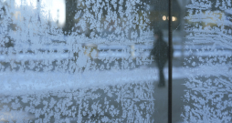 Sniega pārslas uz stikla. Sniega pārslas uz stikla.