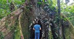 Amazones džungļos. Amazones džungļos.