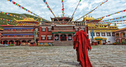 Lama dodas uz templi.