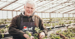 "Augusta zemenes" agronoms Guntars Dzērve.