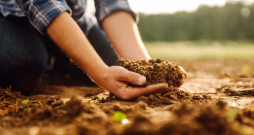 Augi, kas augs auglīgā, strukturētā augsnē, nenonāks stresa stāvoklī un dos labu ražu.