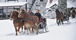 Izbraucieni divjūga kamanās pa ainavisko zirgu sētas "Klajumi" apkārtni Krāslavas novadā šoziem ir ļoti iecienīti. "Klajumu" jaunsaimniecība izveidota ar ulmaņlaiku valsts politikas atbalstu, lai stiprinātu Latvijas austrumu robežu. Šobrīd tā ir Latvijas šķirnes zirgu audzēšanas un bioloģiskā saimniecība. Izbraucieni divjūga kamanās pa ainavisko zirgu sētas "Klajumi" apkārtni Krāslavas novadā šoziem ir ļoti iecienīti. "Klajumu" jaunsaimniecība izveidota ar ulmaņlaiku valsts politikas atbalstu, lai stiprinātu Latvijas austrumu robežu. Šobrīd tā ir Latvijas šķirnes zirgu audzēšanas un bioloģiskā saimniecība.