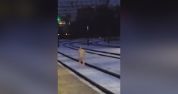 Kails vīrietis staigā pa sliedēm Torņakalna stacijas tuvumā.