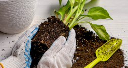 Ilustratīvs attēls.