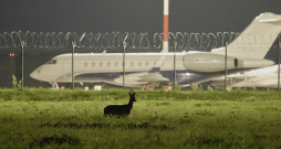 Filma dod iespēju nonākt lidostas pasažieriem slēgtajā un neredzamajā vidē, kur satiekas daba ar cilvēku radīto infrastruktūru. Filma dod iespēju nonākt lidostas pasažieriem slēgtajā un neredzamajā vidē, kur satiekas daba ar cilvēku radīto infrastruktūru.
