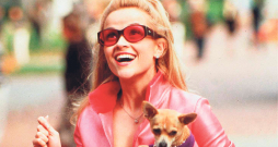 “Gudrā blondīne”.