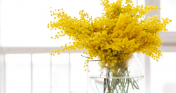 Ilustratīvs attēls.