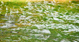 Kaļķošana uz sniega var būt pieļaujama, ja sniega sega ir plāna, augsne jau sāk atkust un nav gaidāma strauja noteces veidošanās.