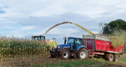 Pagājušajā sezonā laika apstākļi ietekmēja ne vien barības sagādes laiku, bet arī tās bioloģisko vērtību.