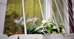 Iļģuciema sieviešu cietuma logs.