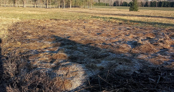 Ziemā dārza dobes apklātas ar sienu, lapām un veco zāli. Ziemā dārza dobes apklātas ar sienu, lapām un veco zāli.