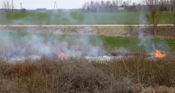 Degoša pērnā zāle.