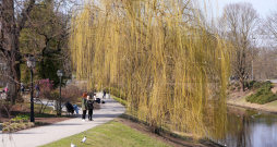 Rīgas pilsētas kanāls pavasarī.