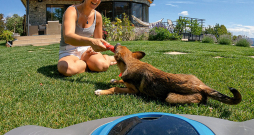 Lai vasarā vairāk laika atpūtai — ļauj zālienu kopt robotam.