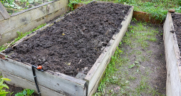 Ja komposts labi satrūdējis, ir tumšs, drupans un ar patīkamu zemes smaržu, to var izmantot kā vērtīgu pamatu augstajai dobei. 