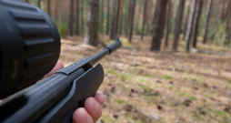 Valsts policija sākusi kriminālprocesu un administratīvā pārkāpuma procesus par gadījumiem Rīgā, kad Rītabuļļos un Imantā tika šauts cilvēkiem. Izvirzīta versija, ka šauts ar pneimatisko ieroci, taču vēl tiek skaidrots ekspertīzē.