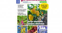 Jaunā žurnāla vāks.