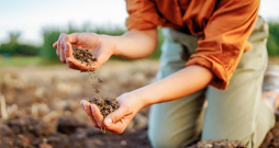 Paraugus var ņemt visu gadu neatkarīgi no laika apstākļiem gan vēlā rudenī, gan lietus laikā.