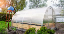 Lai atvieglotu augu laistīšanu siltumnīcā, augu mājā var ierīkot pilienlaistīšanas sistēmu.