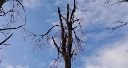 Sekas pēc drona nogāšanās Krāslavas novadā.