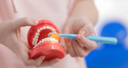 Zobu higiēnists labprāt ierādīs pareizu zobu tīrīšanas un diegošanas tehniku. Zobu higiēnists labprāt ierādīs pareizu zobu tīrīšanas un diegošanas tehniku.