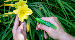 Profesionālā lauksaimniecībā AAL lietošana balstās uz nepieciešamību, novērojumu datiem un īsto laiku.