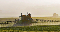 Lauku mēslošana pavasarī.