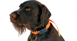 Garmin Alpha LTE lielam sunim.