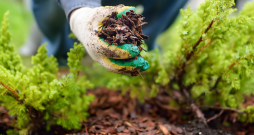 Ilustratīvs attēls.