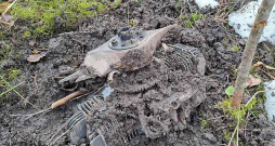 Drona atlūzas. Ilustratīvs attēls.