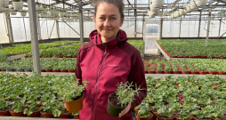 ZS "Zutiņi" saimniece Santa Meļķe: "Jau marta pēdējās dienās klientiem izsūtījām garšaugus Lieldienu mielastam – timiāns, raudene, rozmarīns un vēl citi garšaugi vienlaikus būs gan galda dekors, gan baudāmi produkti." ZS "Zutiņi" saimniece Santa Meļķe: "Jau marta pēdējās dienās klientiem izsūtījām garšaugus Lieldienu mielastam – timiāns, raudene, rozmarīns un vēl citi garšaugi vienlaikus būs gan galda dekors, gan baudāmi produkti."