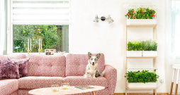 Vairāku stāvu plaukti ir ērti un telpā rada harmonisku izskatu. Vairāku stāvu plaukti ir ērti un telpā rada harmonisku izskatu.