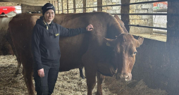 SIA "Kalnāji" ciltsdarba zootehniķe Amanda Trule uzsver – Blūze (attēlā) ir saņēmusi tādu pašu aprūpi kā citas govis, tāpēc tās labā veselība un augstais izslaukuma rādītājs patīkami pārsteidz. SIA "Kalnāji" ciltsdarba zootehniķe Amanda Trule uzsver – Blūze (attēlā) ir saņēmusi tādu pašu aprūpi kā citas govis, tāpēc tās labā veselība un augstais izslaukuma rādītājs patīkami pārsteidz.