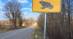 Ar speciālām ceļa zīmēm autovadītājus brīdina par krupju migrācijas ceļiem.