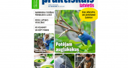 Jaunā žurnāla vāks.