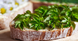 Pirmie zaļumi uz maizītes. Pirmie zaļumi uz maizītes.