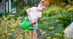 Ilustratīvs attēls.